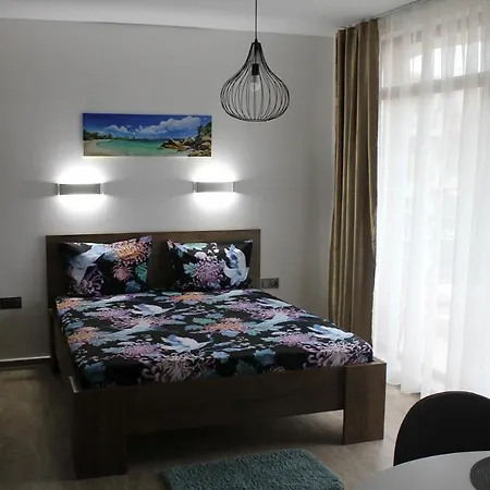 студио в комплекс нестинарка * Carevo