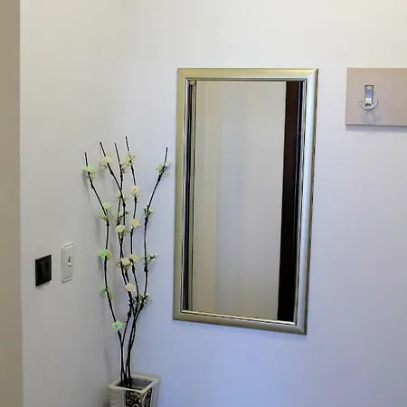 студио в комплекс нестинарка Apartman *