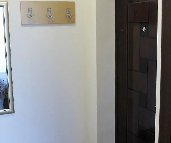 студио в комплекс нестинарка *