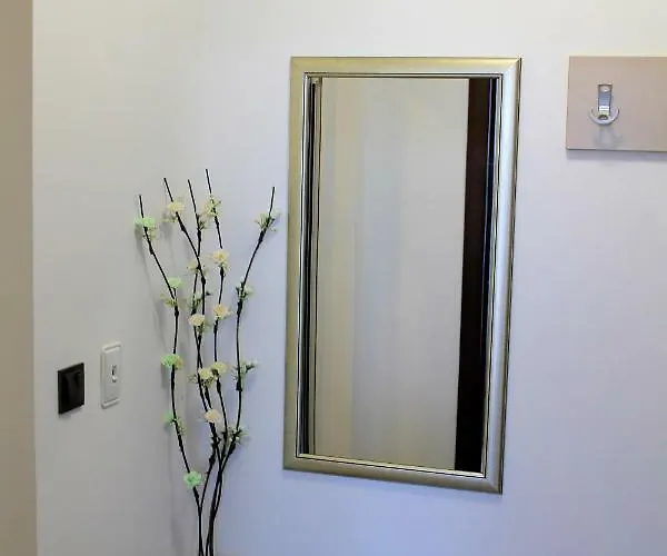 студио в комплекс нестинарка Appartamento *